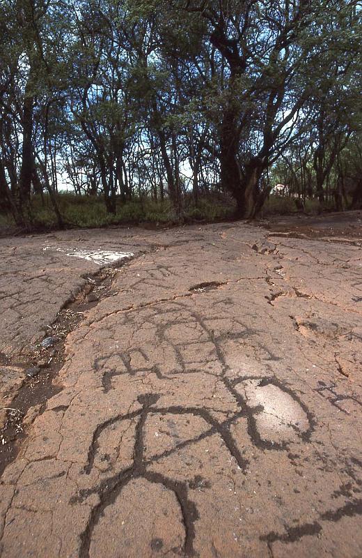 WT 0051 T07-06 Hawaii.jpg